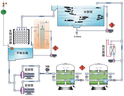 鱼和无脊椎动物LSS设计